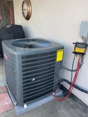 WhatsApp Image 2024-04-18 at 7.41.17 p. m. (4)